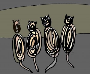 4 gatti spirale colorati