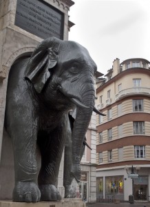uno dei 4 elefanti della famosa fontana