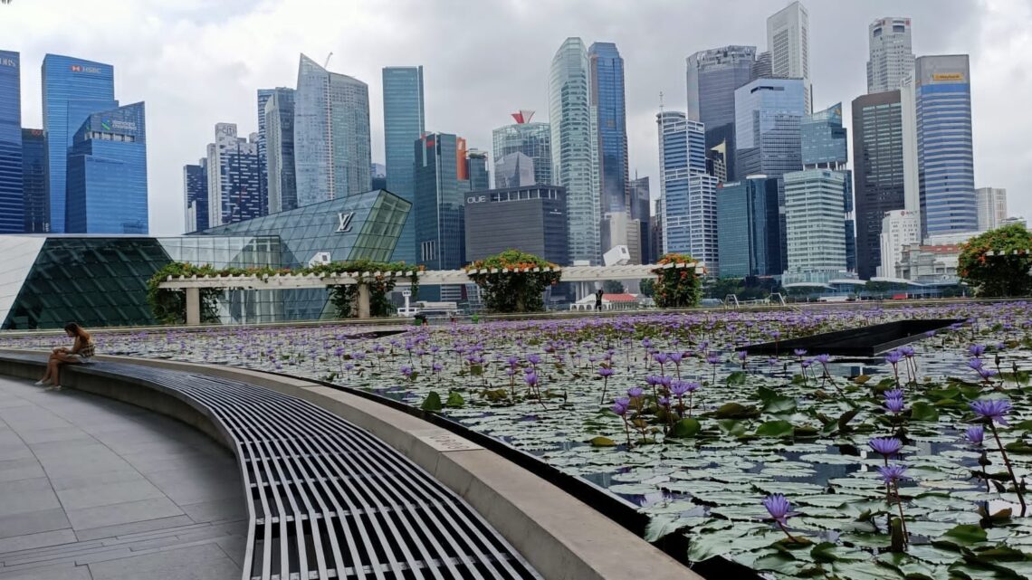 future in singapore